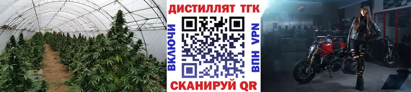 ТГК вейп  Протвино 