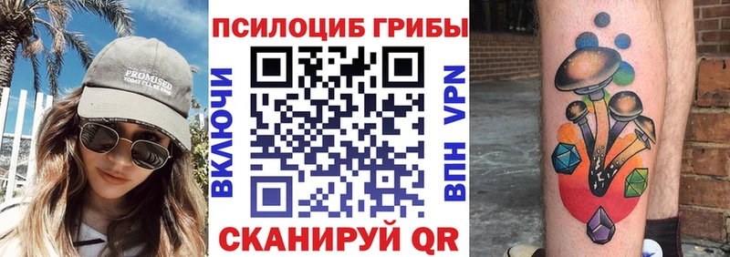 Галлюциногенные грибы Psilocybe что такое Протвино