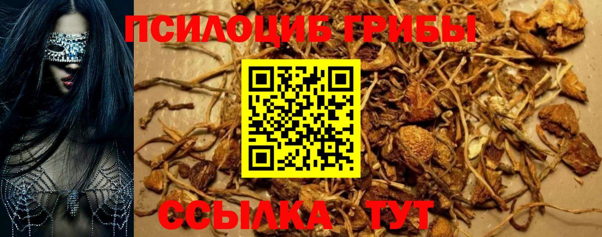 Галлюциногенные грибы ЛСД Протвино
